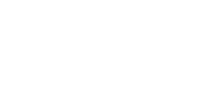 BVV Logo